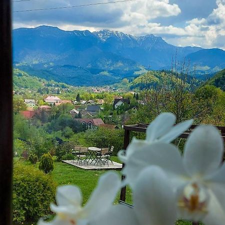 Inspire View - Boutique Hotel Bran  Exterior photo