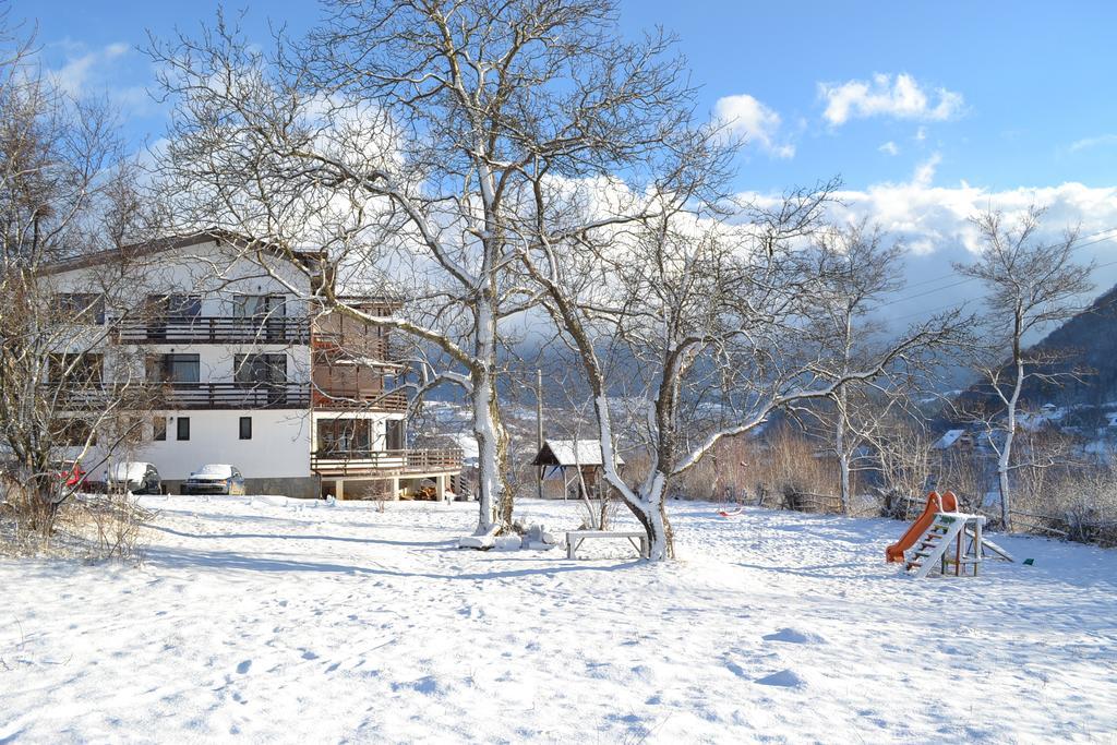 Inspire View - Boutique Hotel Bran  Exterior photo