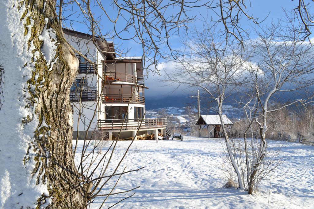 Inspire View - Boutique Hotel Bran  Exterior photo